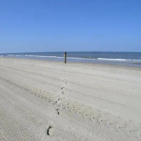 Apartamento Duinerei C202 - Groote Keeten
